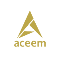 11 aceem